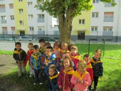 FormatFactoryIMG 8303
