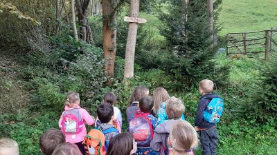 FormatFactory20191018 094010