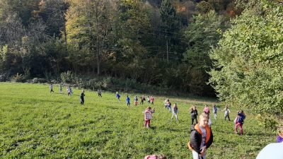 FormatFactory20191018 101534